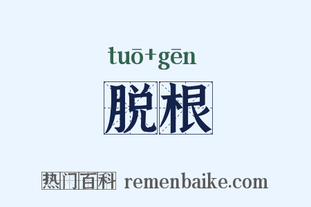 脱根是什么意思的图片
